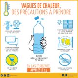 Canicule - précautuions