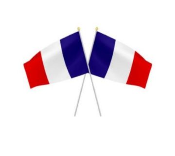 Drapeaux tricolores france