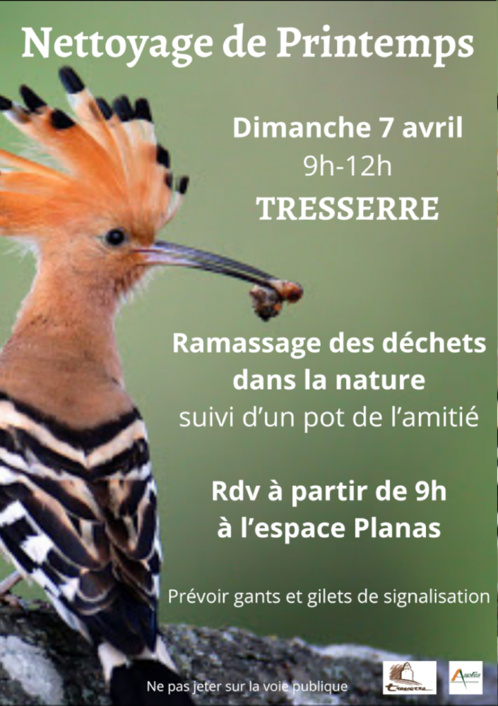 Une huppe fasciée illustre le nettoyage de printemps à Tresserre