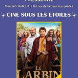 'affiche du film Le Larbin, ciné sous les étoiles à Tresserre le mercredi 14 août 2024, 21h30.