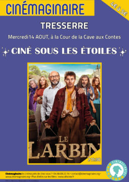 'affiche du film Le Larbin, ciné sous les étoiles à Tresserre le mercredi 14 août 2024, 21h30.