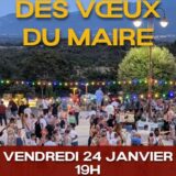 Affiche de la cérémonie des vœux du maire de Tresserre 2025