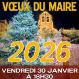 Voeux du maire de Tresserre le 30 janvier 2026 à 18h30 à la Cave aux Contes. Une photo prise de nuit du sapin décoré de Tresserre et l'église St Saturnin éclairée en arrière-plan.