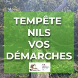 Un mimosa tombé à l'espace Planas à Tresserre lors du tempête Nils. Le texte "Tempête Nils - Vos démarches"
