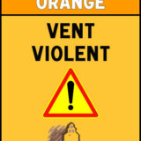 Vigilance Orange - Vent Violent