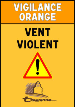 Vigilance Orange - Vent Violent